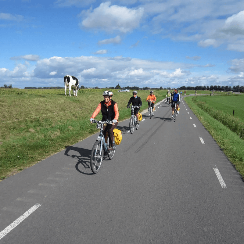 Webdesign Den Helder, Project Direct, Timo van Tilburg, Snel een Webdesigner Den Helder, Website laten maken Den Helder, Website laten bouwen Den Helder, SEO Den Helder, SEA Den Helder, Online Marketing Den Helder, Wordpress Den Helder, Zoekmachine optimalisatie Den Helder